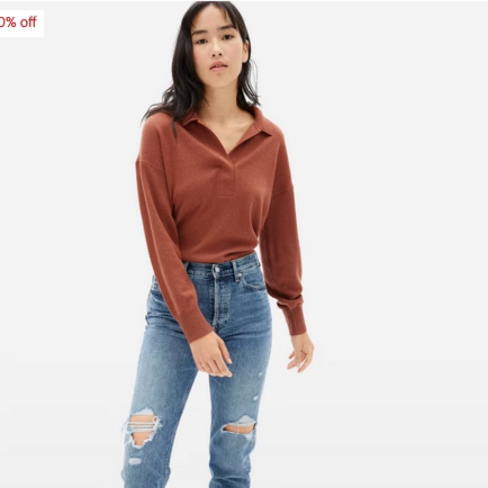 Everlane Cashmere Polo